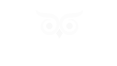 MythicOwl logo